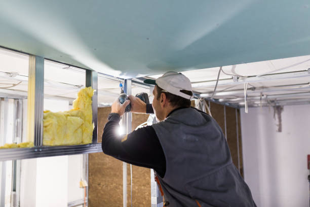 Best Residential Insulation in Deer Park, IL