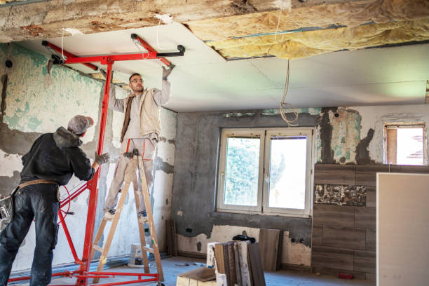 Best Cellulose Insulation in Deer Park, IL