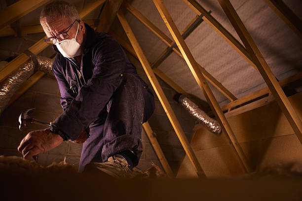 Reliable Deer Park, IL Insulation Contractor Solutions